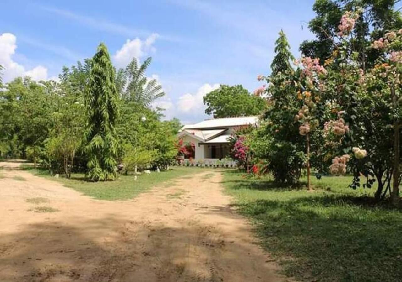 Hotel Lavish Eco Jungle Tissamaharama Exterior foto