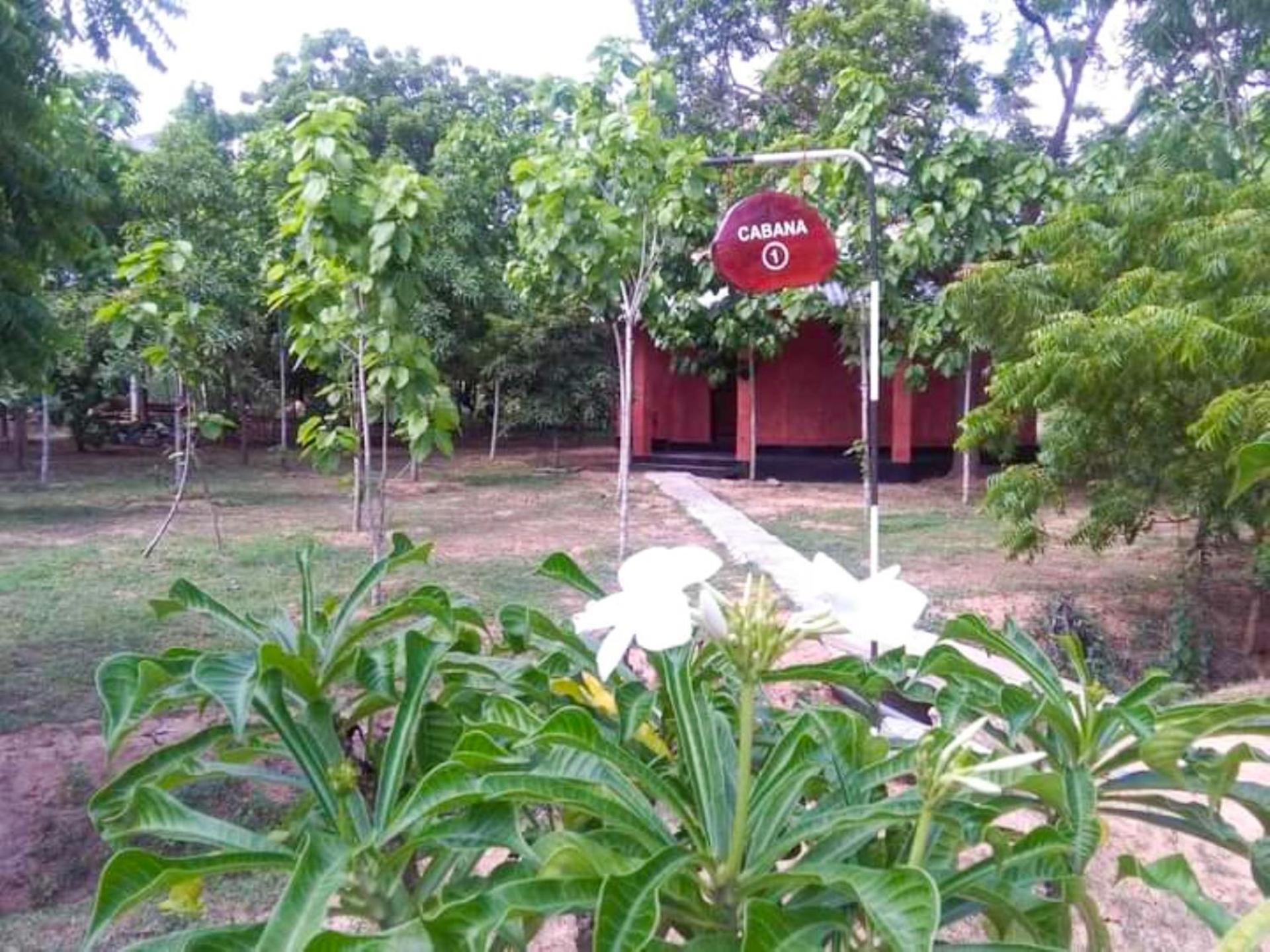 Hotel Lavish Eco Jungle Tissamaharama Exterior foto