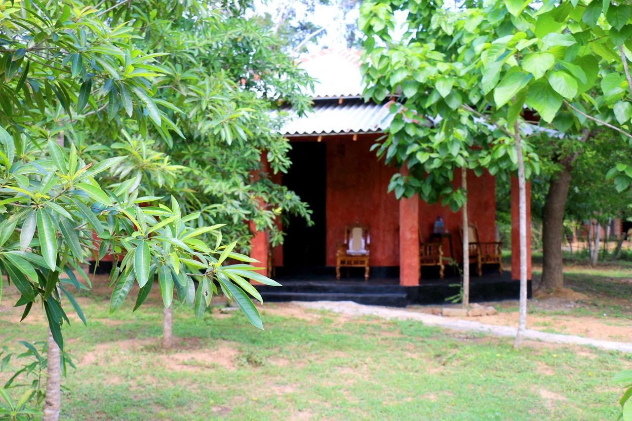 Hotel Lavish Eco Jungle Tissamaharama Exterior foto