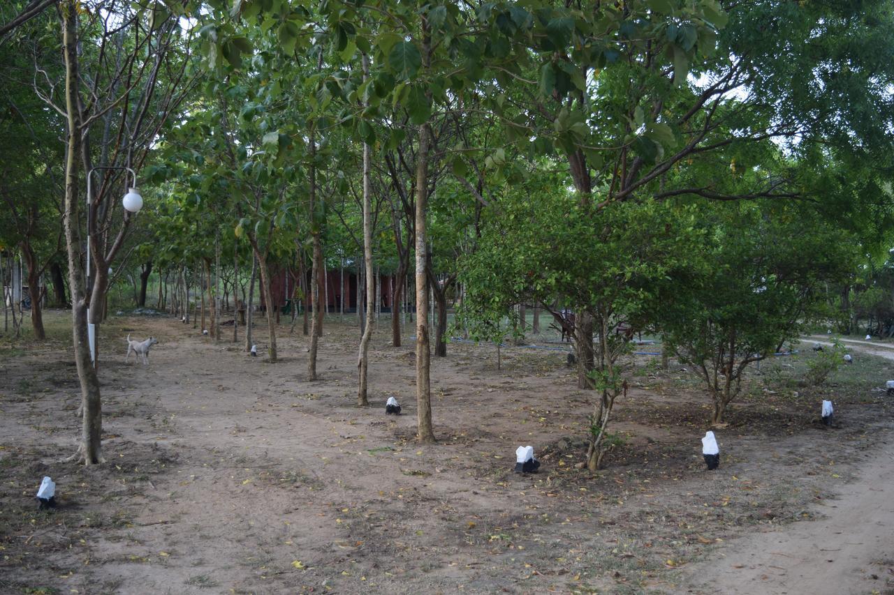 Hotel Lavish Eco Jungle Tissamaharama Exterior foto