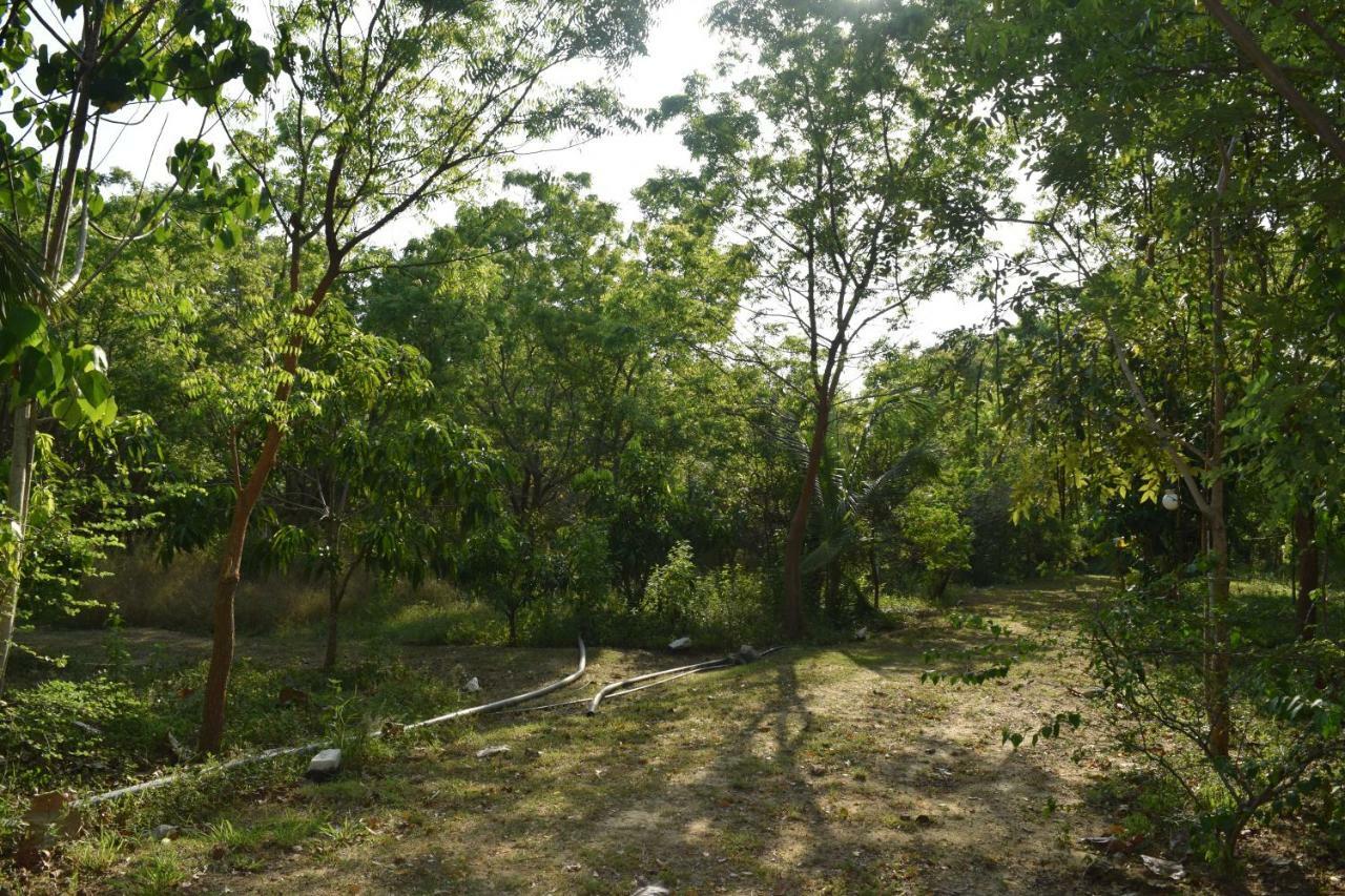 Hotel Lavish Eco Jungle Tissamaharama Exterior foto